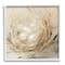 Stupell Industries Abstract Baby Bird Egg Nest Countryside Animals Framed Wall Art